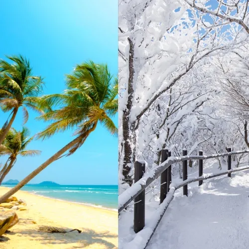 Mevsimsel Temizlik: Yaz ve Kış Farkları