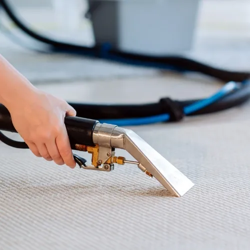 Halı Temizliğinde 4 Mevsim Hizmeti: Sağlıklı Bir Yaşam Alanı İçin İpuçları